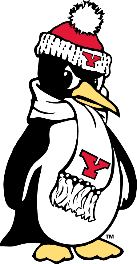 Youngstown State Penguins 1993-Pres Alternate Logo v7 diy iron on heat transfer...